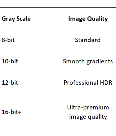 Typical Gray Scale Levels